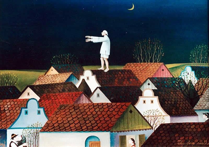 Il sonnambulo